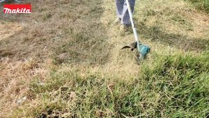 Makita DUR192L Grass Trimmer - Loop Handle ( Easy using )