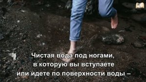 ВАМ ПРИСНИЛАСЬ ВОДА. Чистая мощная стихия в вашем сне!