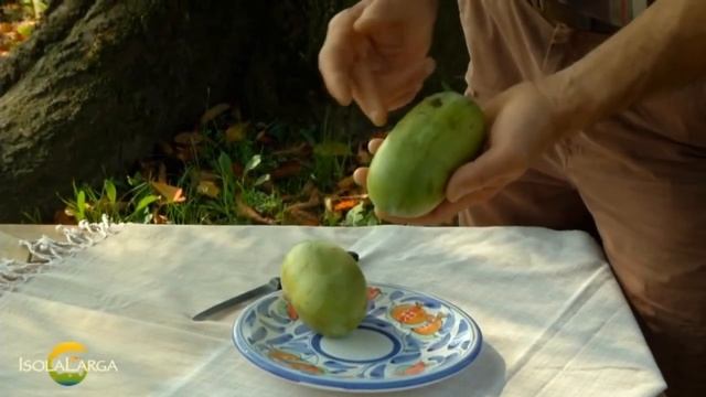 АЗИМИНА сорта PRIMA, OVERLEESE, SUNFLOWER смотреть онлайн