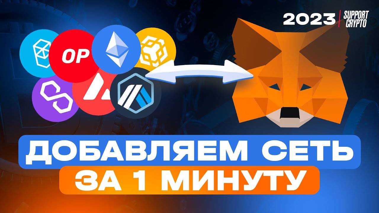 Как добавить любую блокчейн сеть в Metamask за 1 минуту (2025)