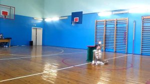 Цирковая студия ДК МАЗ, мероприятие ЗОЖ в 43 школе Минска, цирковое выступление и урок  скакалки.