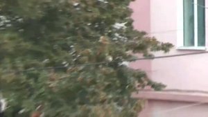 Белополье 2018 , Осень