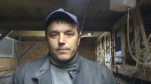 КОРМЛЕНИЕ КРОЛИКОВ  (порядок кормления)