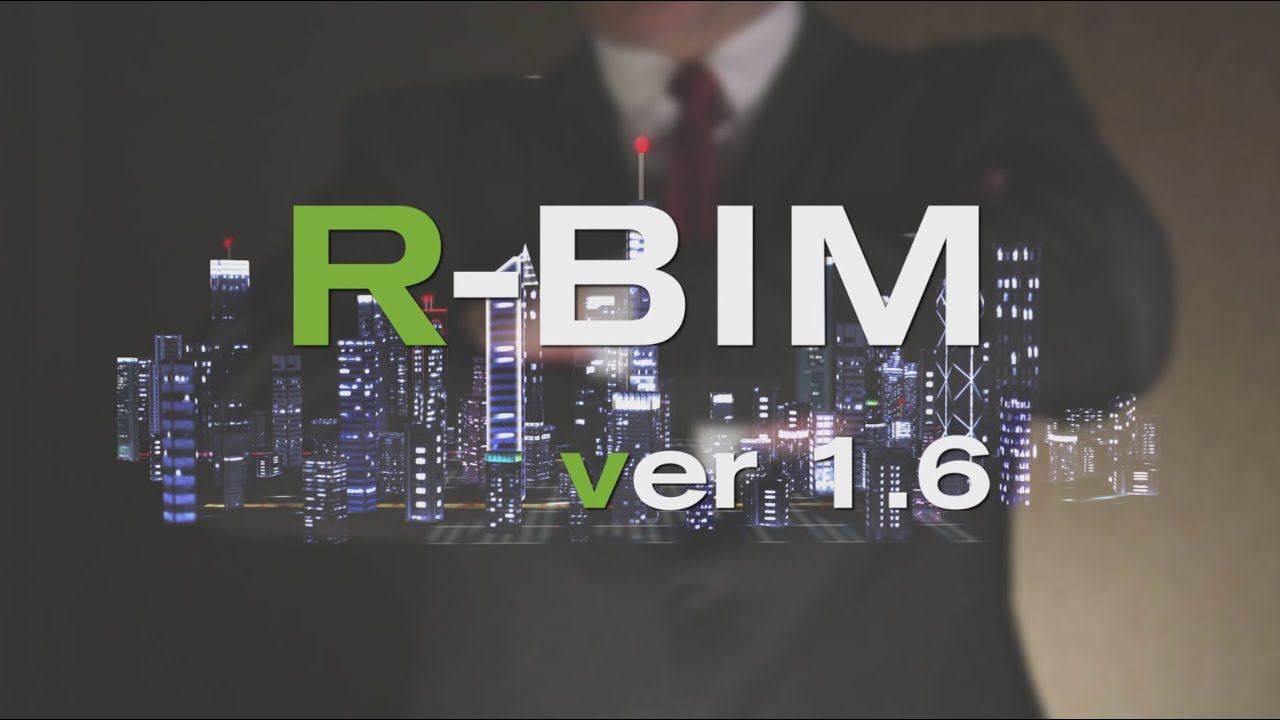 R-BIM ver.1.6. Подробная структурная схема и вывод изображения с видеокамеры