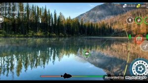 вырезуб без прелова в My Fishing World