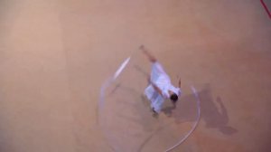 Alexey Nemov show sports Legends 2019, шоу Алексея Немова   Легенды Спорта 2019