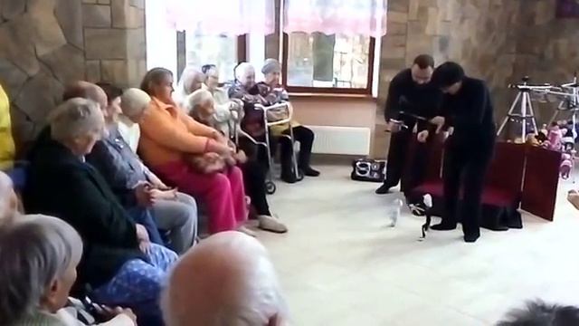 Кукольный театр РИДИКЮЛЬ в пансионате Осиновая Роща смотреть онлайн