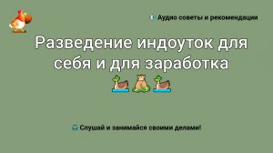 Разведение индоуток для себя и для заработка