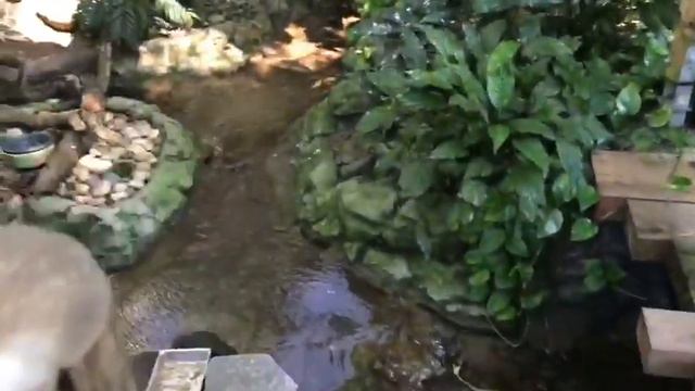 Мы в Зоопарке 2 смотреть онлайн