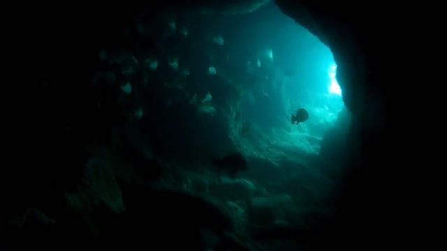 Обитатели Черного моря. Горбыль смотреть онлайн