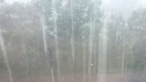 Ураган в Дорохово