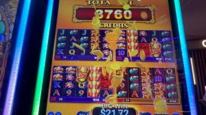 I Found a Fun New Slot at Hard Rock Casino!