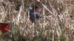 ПРОХОДИМОСТЬ КАНОЭ МЕФОДИЙ В КАМЫШАХ