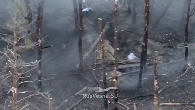 Хорошо тебе детинушка удалой боец. Хорошо тебе детинушка удалой боец. Хорошо тебе детинушка удалой боец сын купеческий. Хорошо тебе детинушка удалой боец. Хорошо тебе детинушка удалой боец сын купеческий чьи слова.