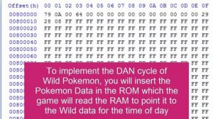 RAM Tutorial 2: Day & Night | Wild Encounter Swapping In-Game