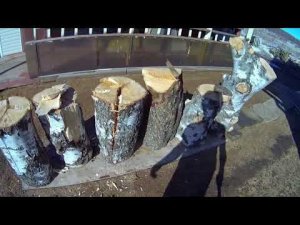 Расколоть пять берёзовых чурок.