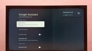 How to Turn OFF or ON Voice Control or Google Assistant in TCL Google TV Android TV Smart TV