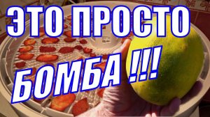 ЧЕМ ЗАНИМАЮТСЯ ПЕРЕСЕЛЕНЦЫ ИЗ ЕВРОПЫ?