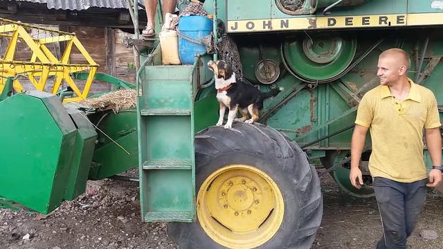 Собака комбайнер смотреть онлайн