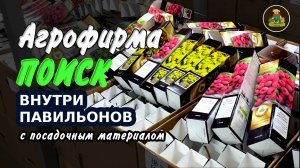 Прогулка по агрофирме Поиск. Павильоны с посадочным материалом

? Наш магазин для садоводов "Цветоч