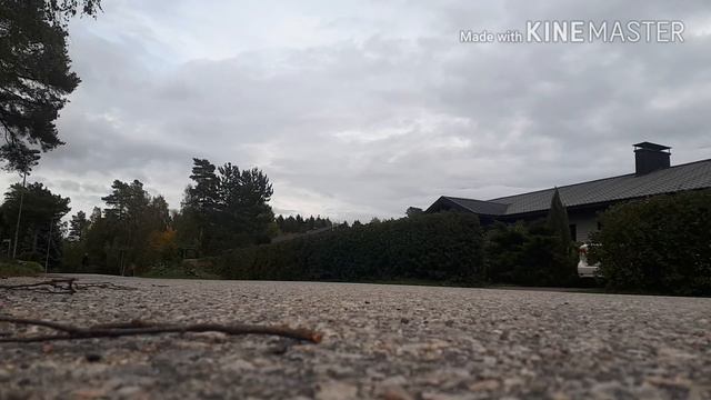 I CRASHED IN TO MY FRIEND||First real wheelie video смотреть онлайн