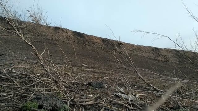 BSE PH10-125e смотреть онлайн