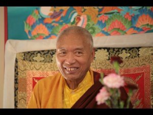 Встреча Кьябдже Намка Дриме Рабджам Ринпоче
