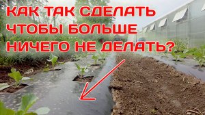 Грядки, сделав которые вы получите высокий урожай овощей и не потратите много сил и времени.