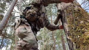 Survival Training: How to get Water from a Tree