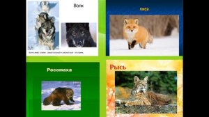 презентация заповедники России