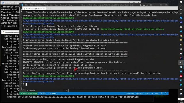 Blockchain Programmer-Part 11: Pass Data Client To On-Chain Rust Prog  Multi-Version Deployments