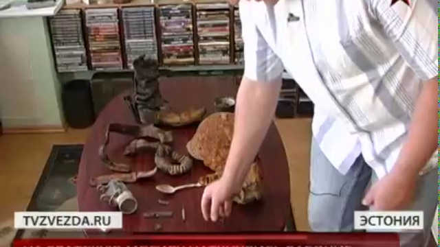 В Таллине обнаружены останки сорока красноармейцев