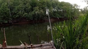 Вот и начался Осенний Жор Хищника на реке Сок Крупные Окуни, Щука, Голавль