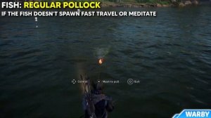 Assassin's Creed Valhalla - Pollock Fish Locations (Big - Regular - Small)