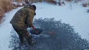Проверка мардушек для ловли щуки.
