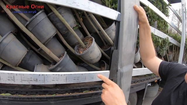 Полиция свела на паркинг... #track #дальнобой #новое_видео #сдальнобоем смотреть онлайн