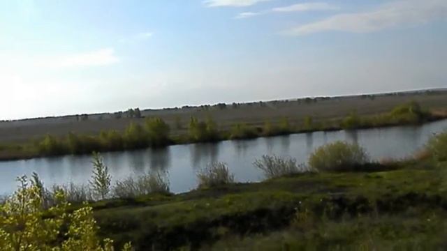 Мясные динозавры Южного Урала смотреть онлайн