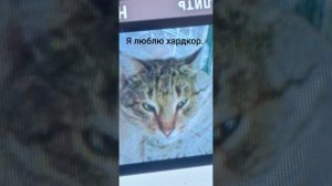 Песня Я люблю хардкор.