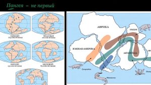 Пангея Pangaea