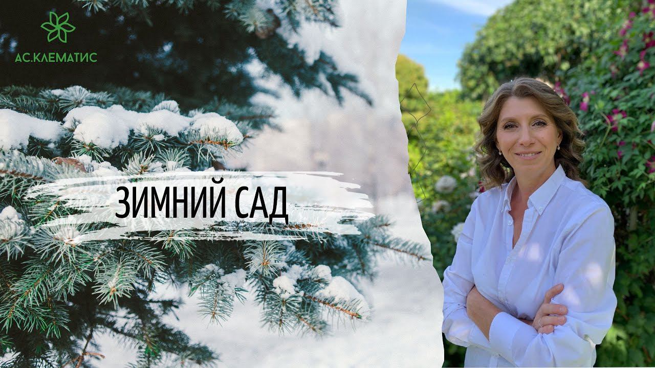 Обзор ЗИМНЕГО сада l Как зимуют растения? Планы на НОВЫЙ сезон! смотреть онлайн
