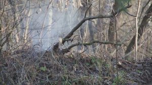 Кошка \ крюк костровой \ разборная кошка \ саперная кошка (часть 8)