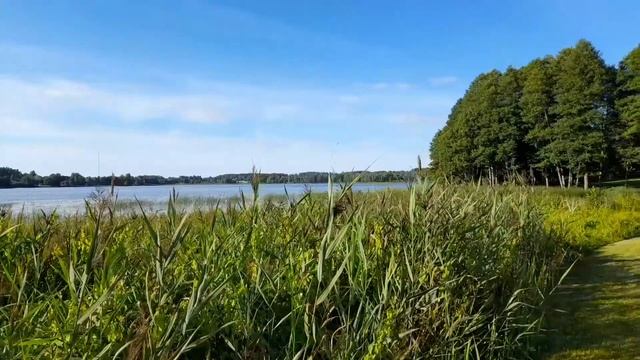 Церковь во имя святого благоверного князя Александра Невского в Стамериене. смотреть онлайн