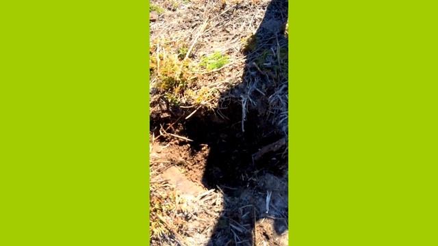 #металлоискатель Garret GTI 2500 Отличный прибор ! смотреть онлайн