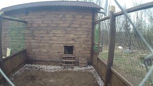 Загон для курей.
