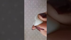 Грибы из полимерной глины ( мастер-класс )