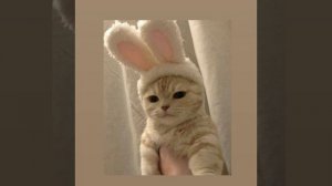 Он просто друг твой спасательный круг (1 час)