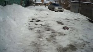 ПОКАТУШКИ, ДРИФТ, на радиоуправляемой машине Remo Hobby   S-max