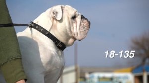 18-105 vs 18-135 Сравнение на #sonyA6600