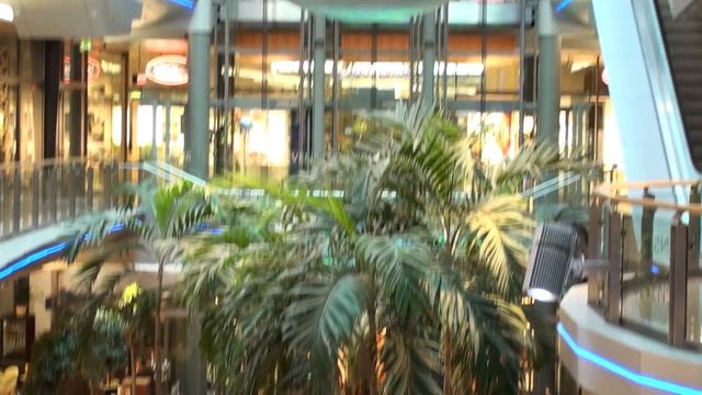 Аахен - Дюссельдорф 16.08 (87).MTS смотреть онлайн