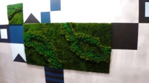 Мох на стене.